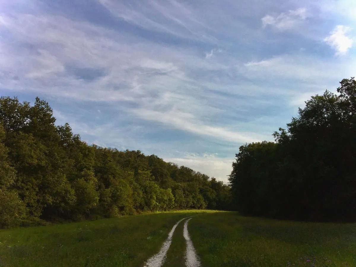 Gospodarstwo agroturystyczne Agriturismo Ca' Cristane Rivoli Veronese