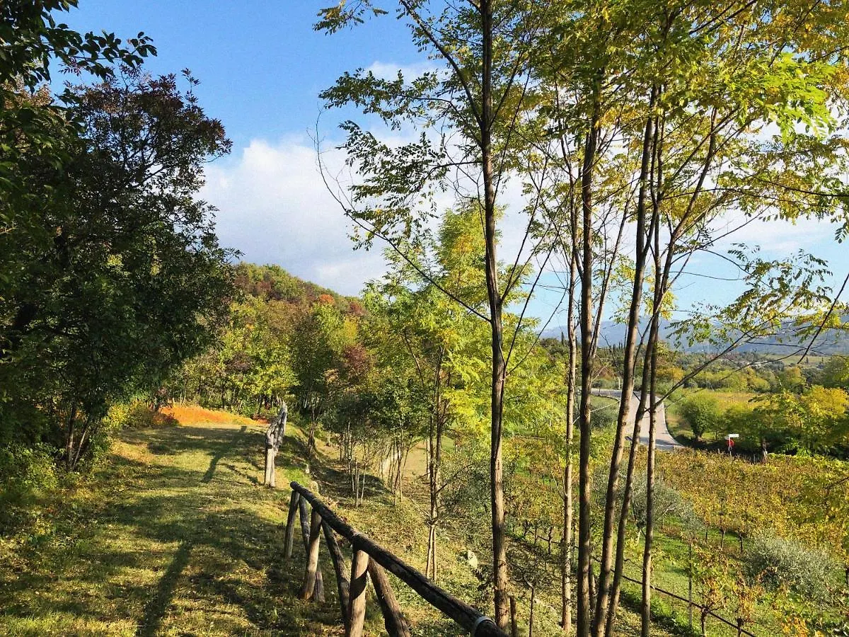 Agriturismo Ca' Cristane Villa Rivoli Veronese 0*,  Italy